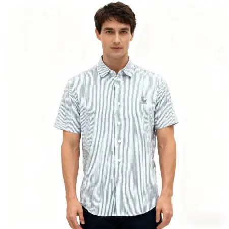Men's blue striped business casual short-sleeved shirts, starting from 100 pieces, anti-wrinkle, breathable, versatile workplace shirts, men's checked shirts, warm shirts, men's clothing, school uniforms, men's clothing shirts, pure cotton brushed Men's blue striped business casual short-sleeved shirts, starting from 100 pieces, anti-wrinkle, breathable, versatile workplace shirts, men's checked shirts, warm shirts, men's clothing, school uniforms, men's clothing shirts, pure cotton brushed